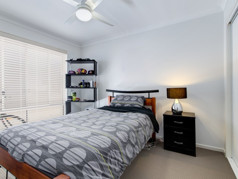 3 Foxtail Circuit, Mountain Creek QLD 4557