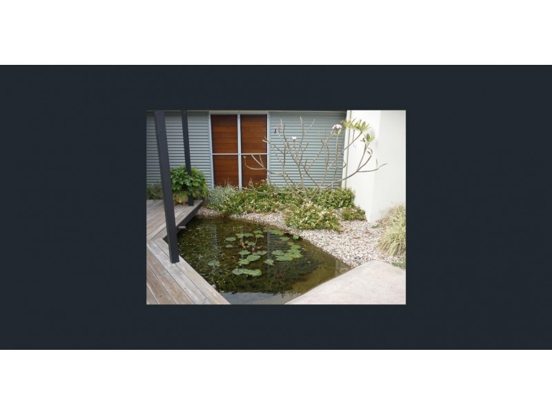 11 Ewinga Court, Mountain Creek QLD 4557