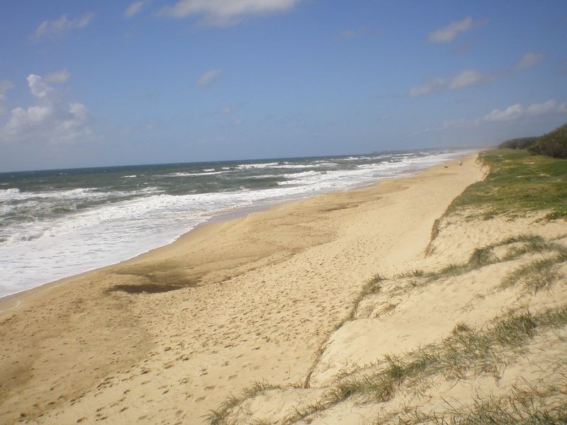 16 South/147 Lowanna Drive, Buddina QLD 4575