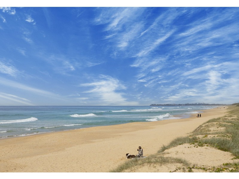 27 Iluka Avenue, Buddina QLD 4575