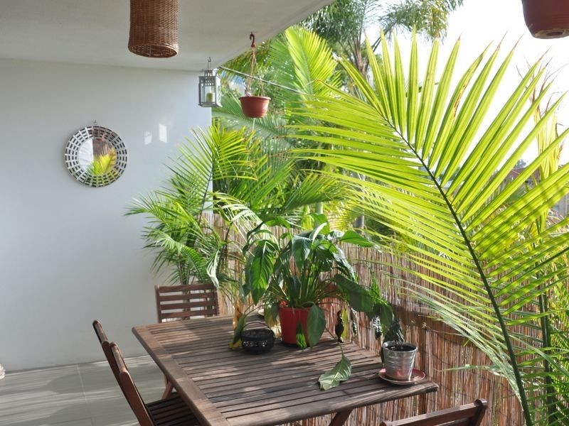 3/6 Corowa Court, Mooloolaba QLD 4557