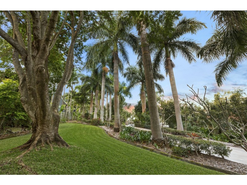 19 Hardwood Court, Buderim QLD 4556