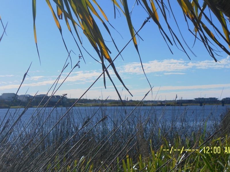 20 Galley Street, Wurtulla QLD 4575