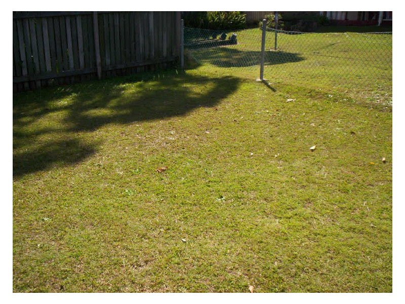 20 Toorumbee Drive, Mooloolaba QLD 4557