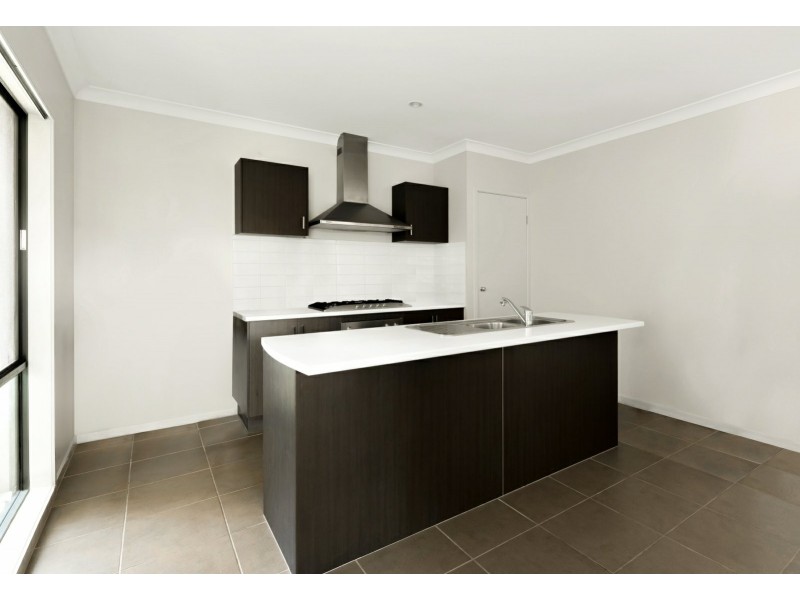 1 Skua Place, Mountain Creek QLD 4557