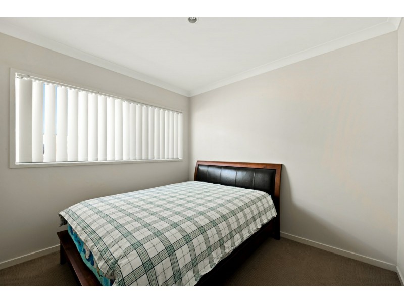 1 Skua Place, Mountain Creek QLD 4557