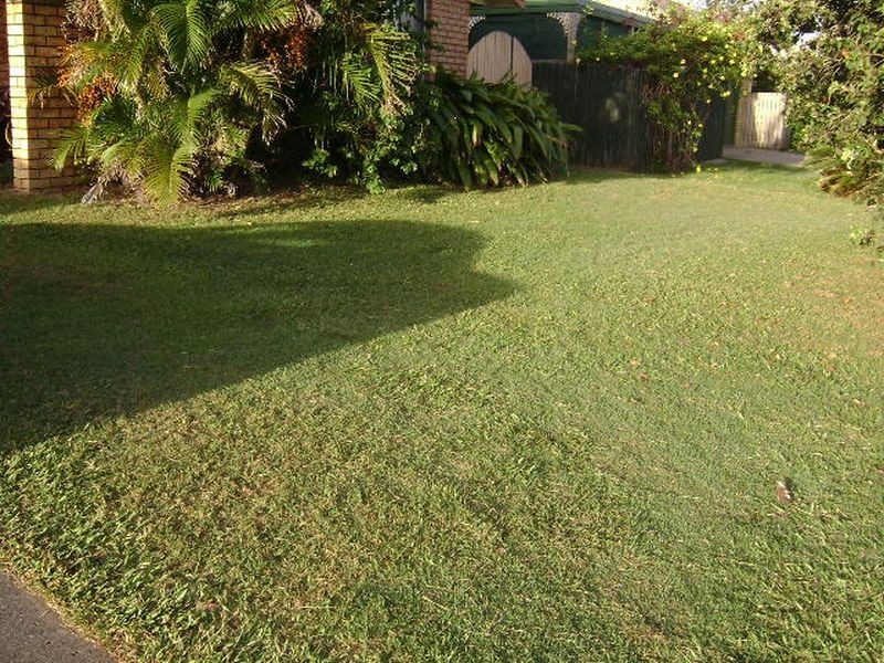 15 Wamara Street, Buddina QLD 4575