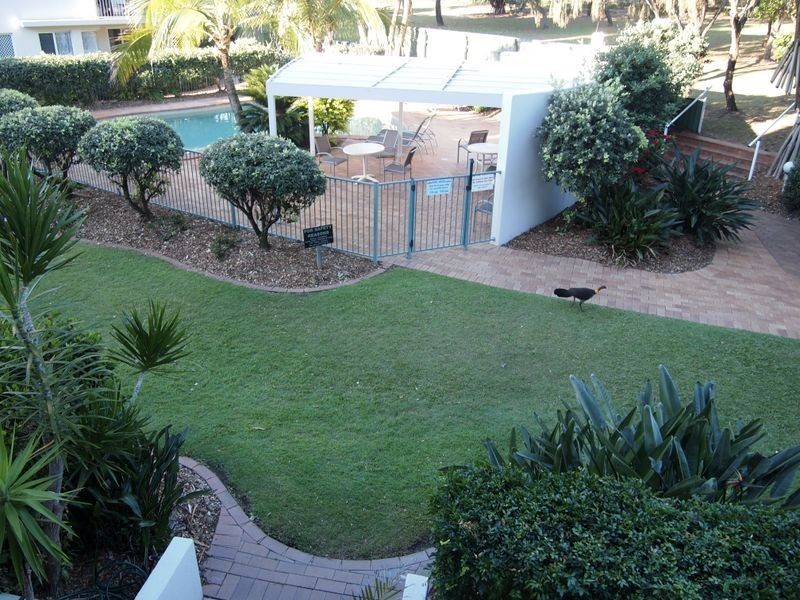 12/147 Lowanna Drive, Buddina QLD 4575