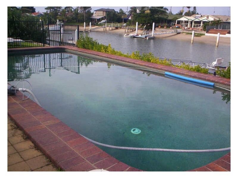 17 Island Court, Minyama QLD 4575