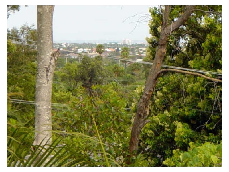 11 Kawana Street, Alexandra Headland QLD 4572