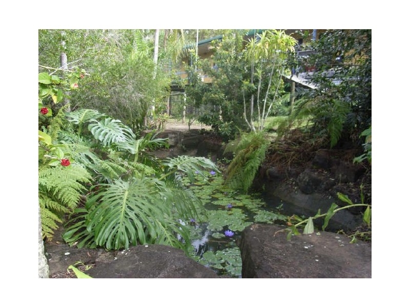 31 Palm Creek Road, Tanawha QLD 4556