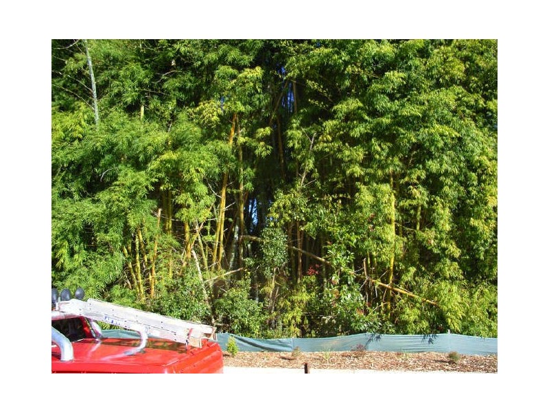 52 Elizabeth Street, Nambour QLD 4560