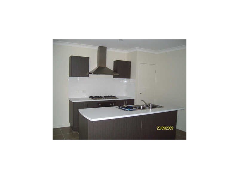 1 Skua Place, Mountain Creek QLD 4557