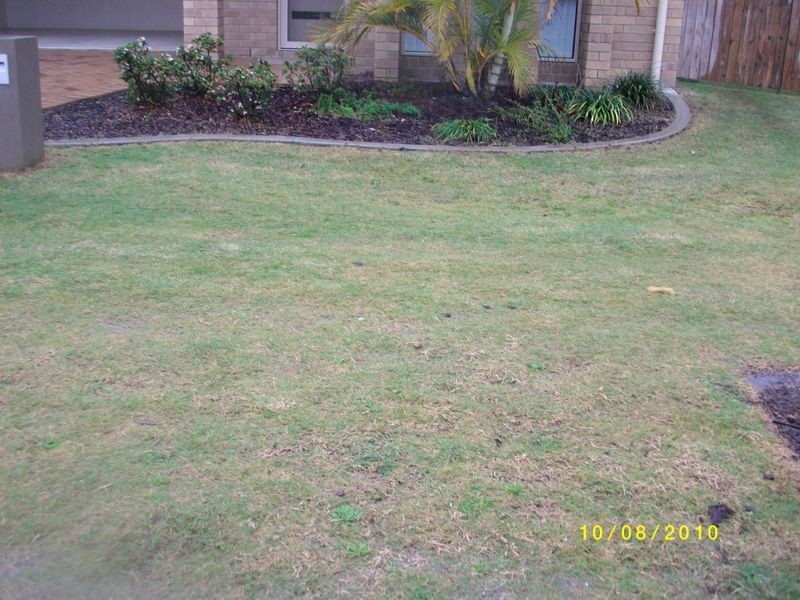 84 Torrens Street, Bellvista, Caloundra QLD 4551