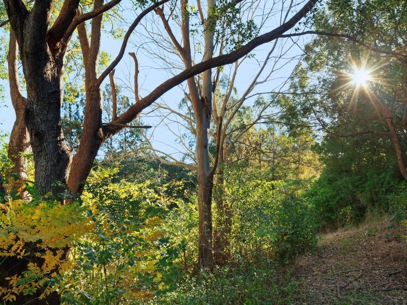 13 Laurel Avenue, Nambour QLD 4560