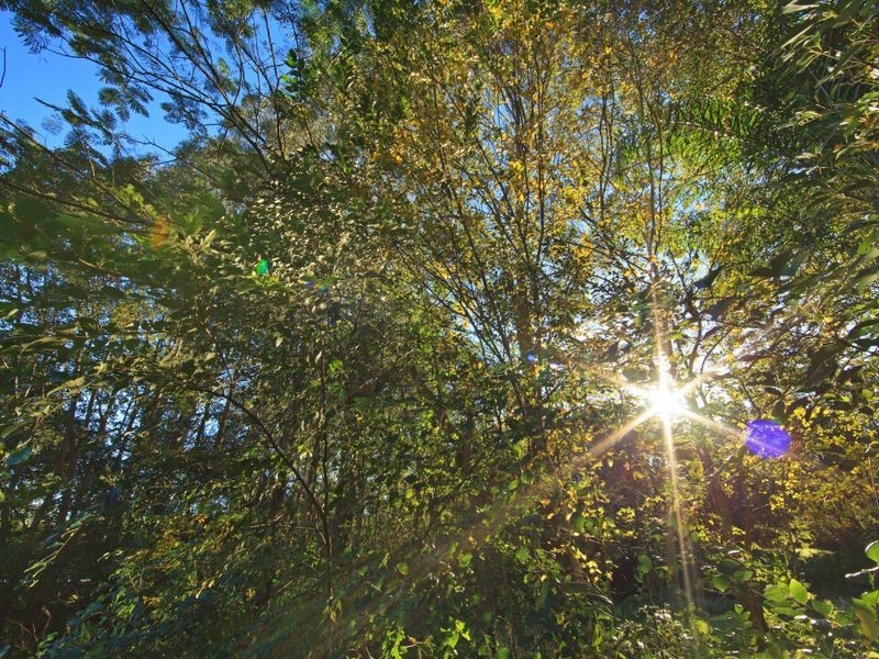 13 Laurel Avenue, Nambour QLD 4560