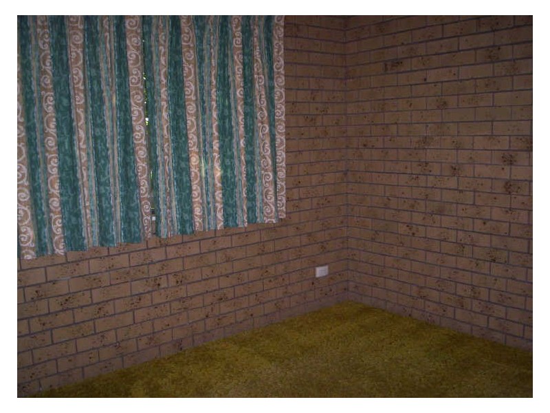 7/42 Baden Powell Street, Maroochydore QLD 4558