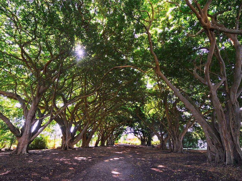 19 Gibson Street, Buderim QLD 4556