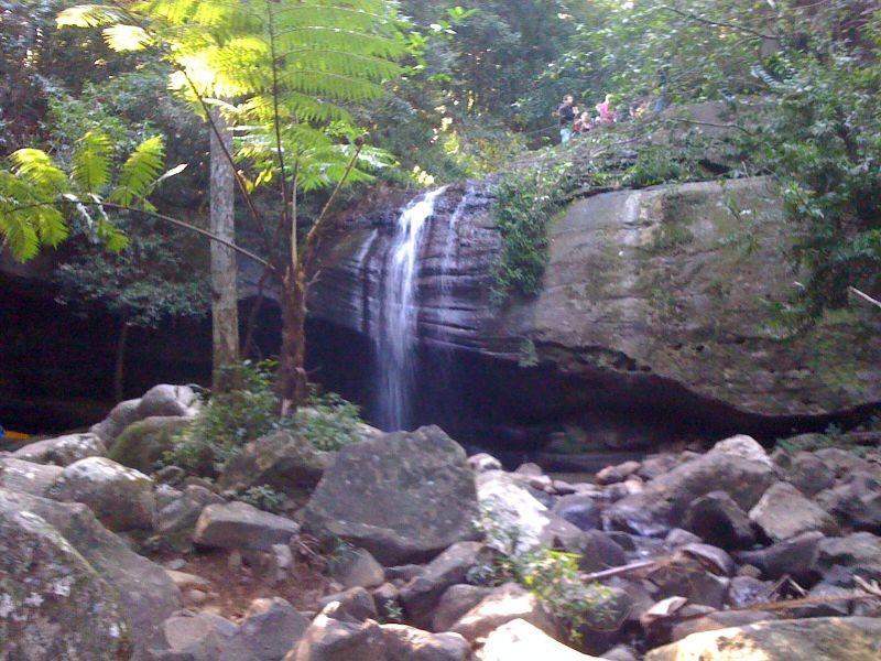 19 Gibson Street, Buderim QLD 4556