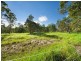 2312 Steve Irwin Way, Landsborough QLD 4550