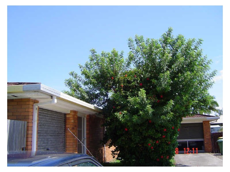 2/74 Nicklin Way, Warana QLD 4575