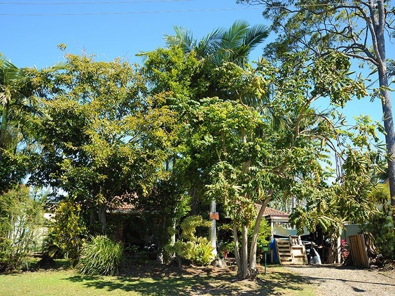 16 Jacaranda Drive, Mooloolaba QLD 4557