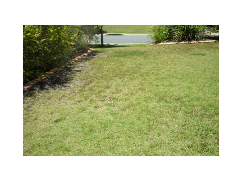 16 Nandewar Drive, Buderim QLD 4556