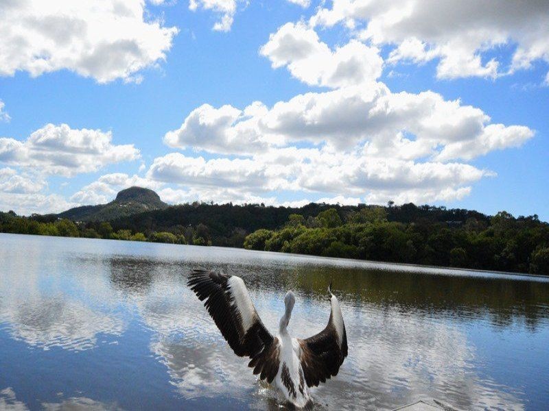 101 Yandina Bli Bli Road, Yandina QLD 4561