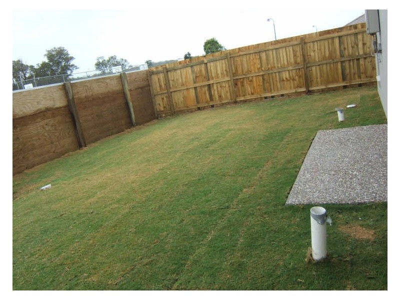 19 Quandong Street, Meridan Plains QLD 4551