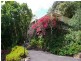 532 Black Mountain Road, Cooroy QLD 4563