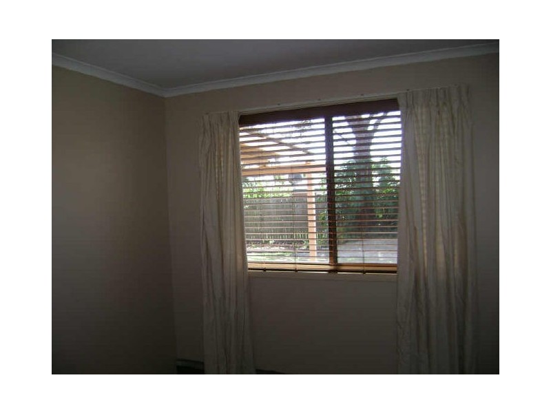 17 Mallawa Street, Buddina QLD 4575