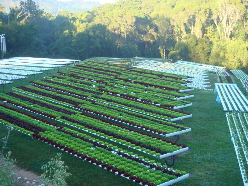 139 Pomona Connection Road, Pomona QLD 4568