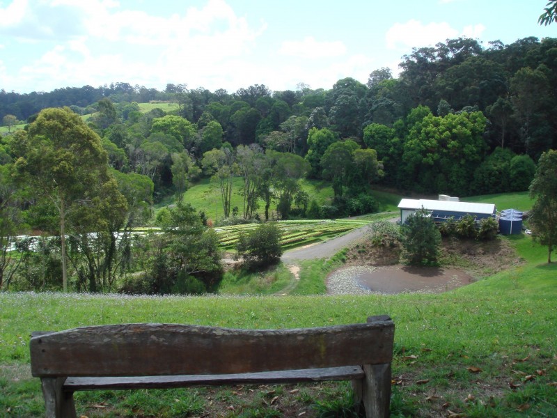 139 Pomona Connection Road, Pomona QLD 4568