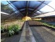 520 Steve Irwin Way, Glass House Mountains QLD 4518