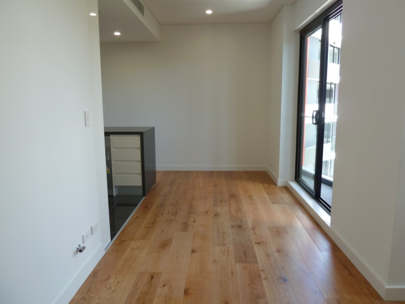 310/33 Birmingham Street, Alexandria NSW 2015