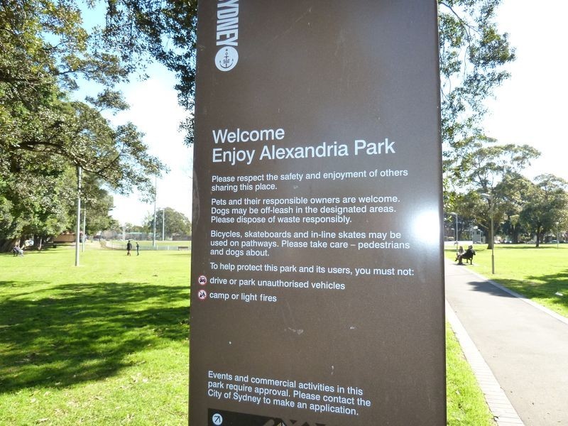 176 Wyndham Street, Newtown NSW 2042