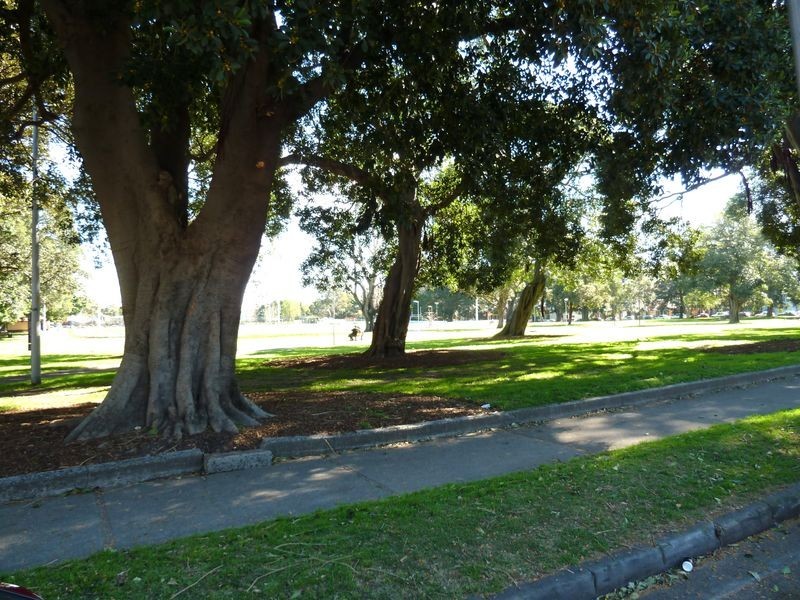 176 Wyndham Street, Newtown NSW 2042