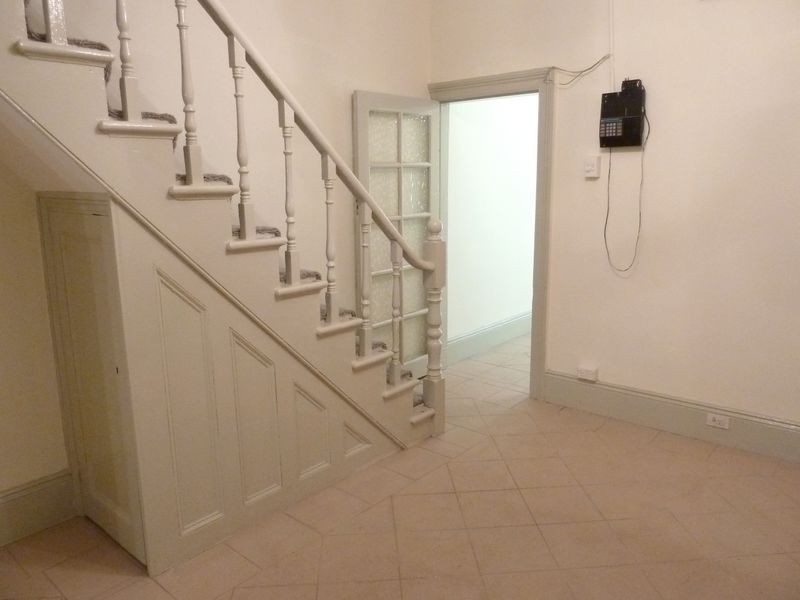 176 Wyndham Street, Newtown NSW 2042