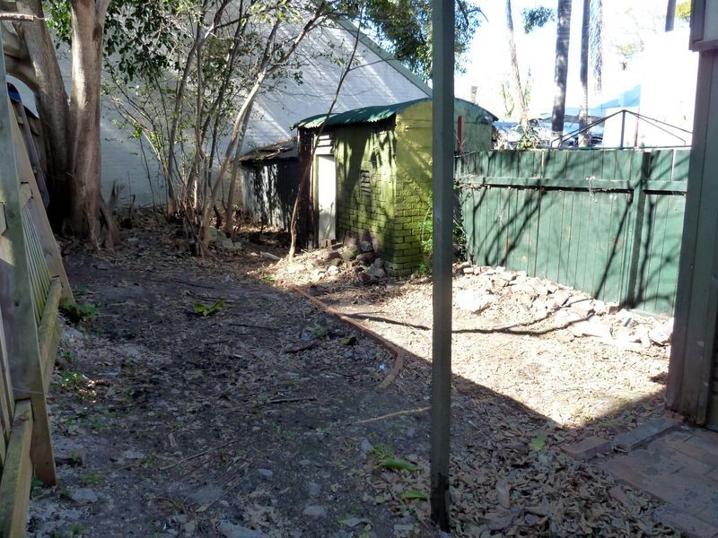 176 Wyndham Street, Newtown NSW 2042