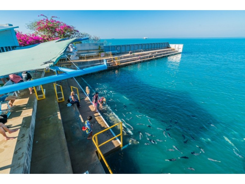 32 Doctors Gully Road, Larrakeyah NT 0820