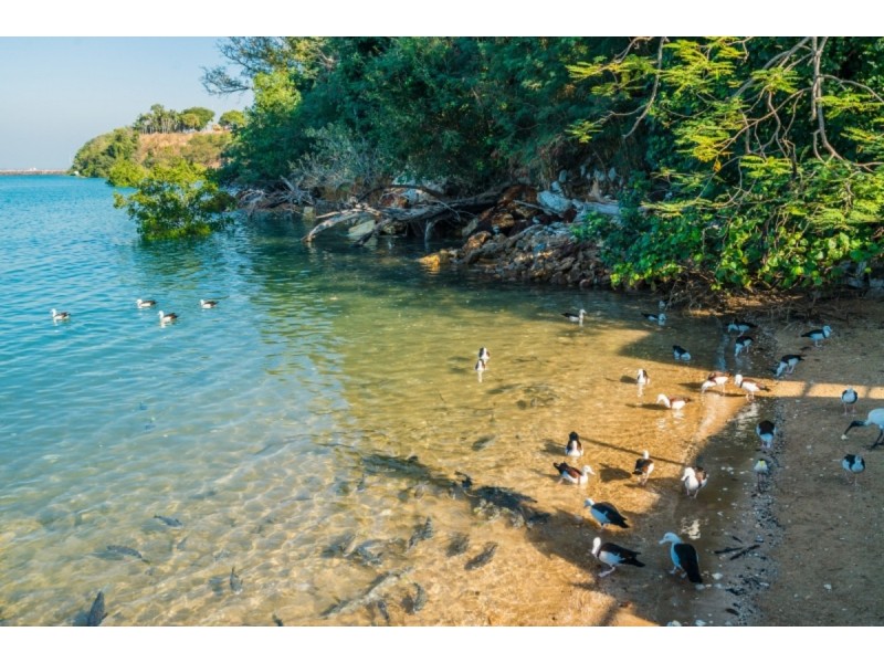 32 Doctors Gully Road, Larrakeyah NT 0820