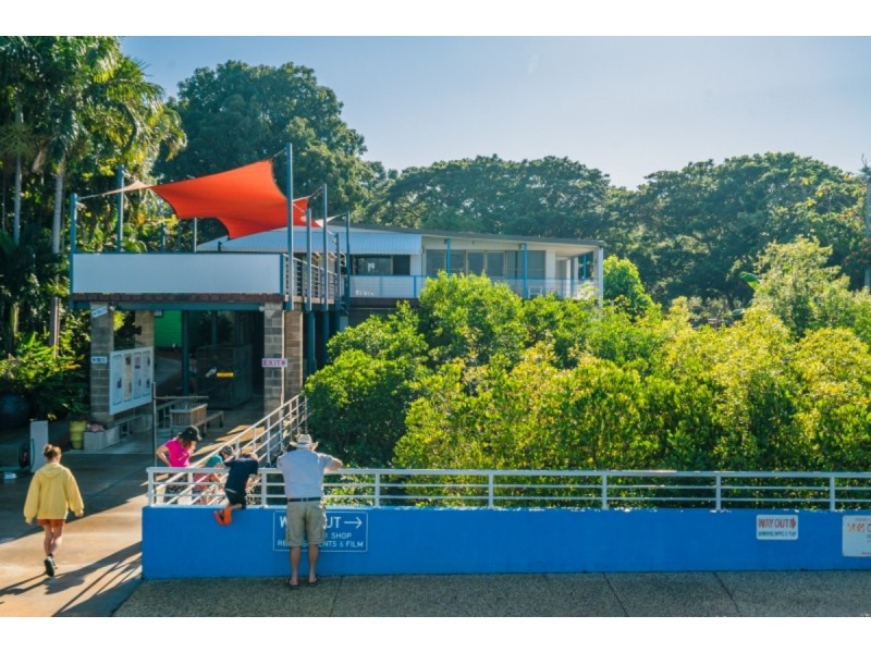 32 Doctors Gully Road, Larrakeyah NT 0820