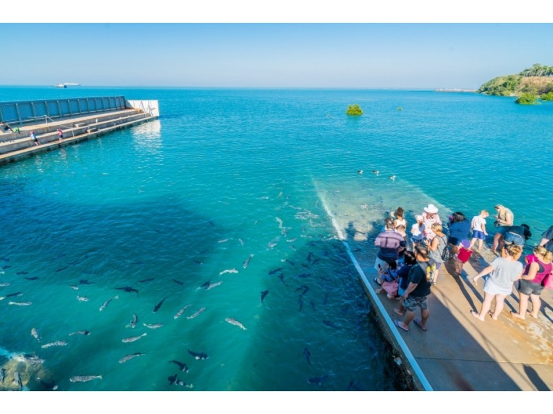 32 Doctors Gully Road, Larrakeyah NT 0820