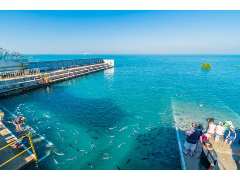 32 Doctors Gully Road, Larrakeyah NT 0820