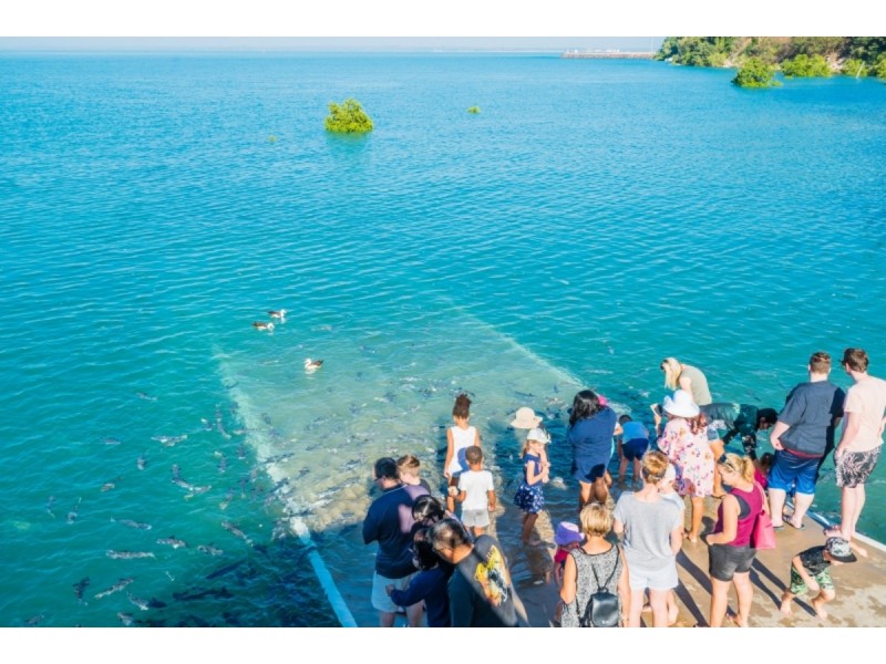 32 Doctors Gully Road, Larrakeyah NT 0820