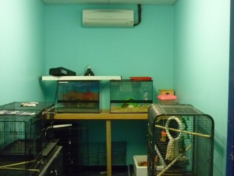 Pets Village/798 Vanderlin Drive, Berrimah NT 0828