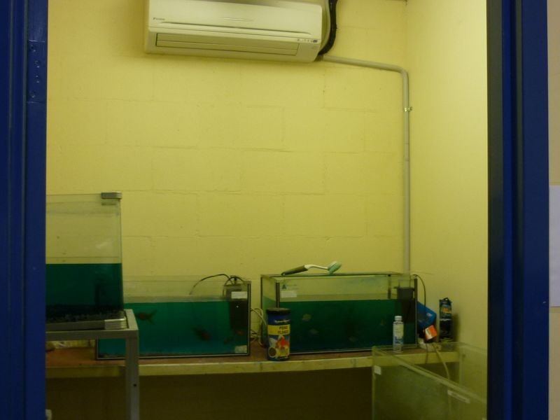 Pets Village/798 Vanderlin Drive, Berrimah NT 0828