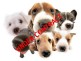 1 Dogtainers, Darwin NT 0800