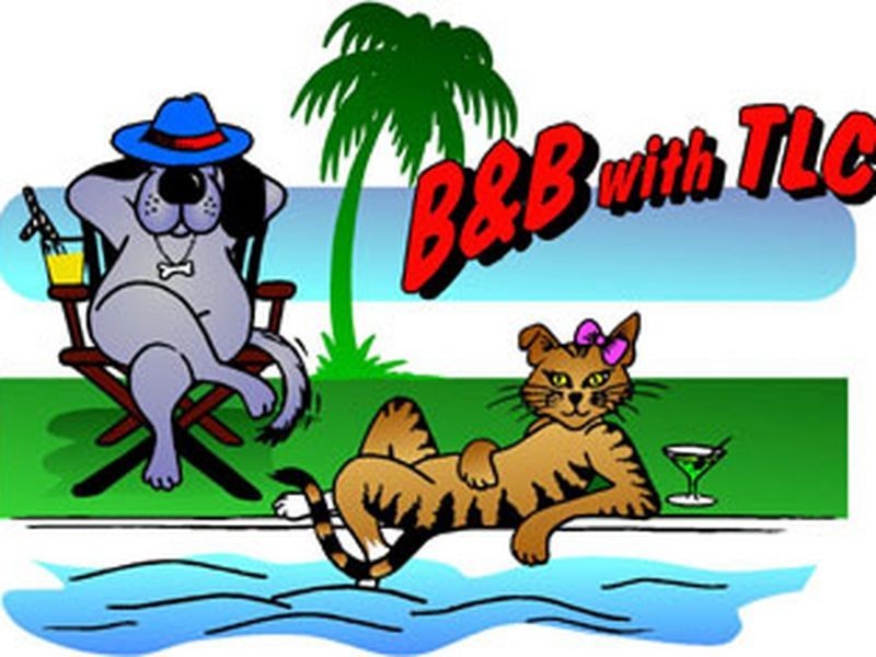 85 Mahaffey Road, Darwin NT 0800