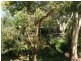 Clarendon SA 5157